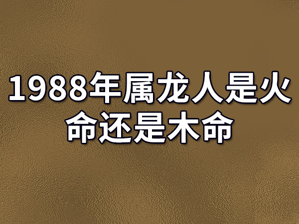 王炸
:1988年属龙人是火命还是木命-1988年属龙人是火命吗