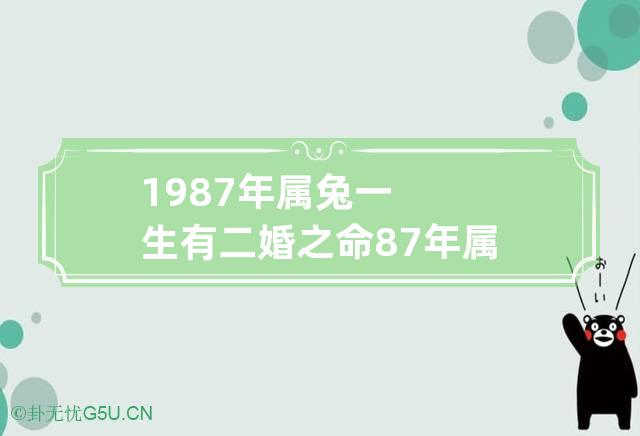 1987年属兔一生有二婚之命 87年属兔男最终的婚姻结果