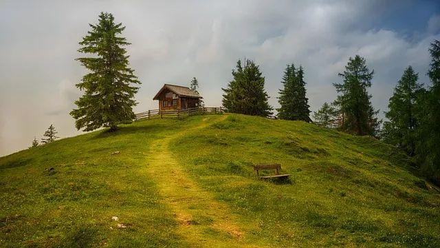 太赞
:生肖婚配 | 属狗和属蛇在一起合适吗？能否天长地久？