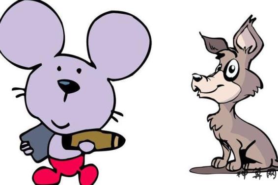 收获与感悟
:关于属鼠的性格和脾气