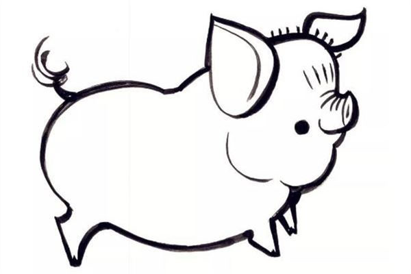 实战经历
:生肖是猪的人什么时辰出生好