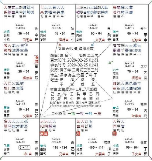 难以理解
:紫微斗数什么盘会怀双胞胎 双胞胎紫薇盘