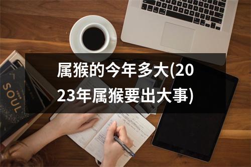 经验共享
:属猴的今年多大(2023年属猴要出大事)