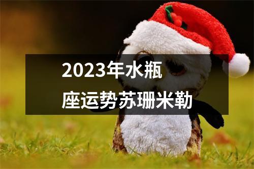 2023年水瓶座运势苏珊米勒