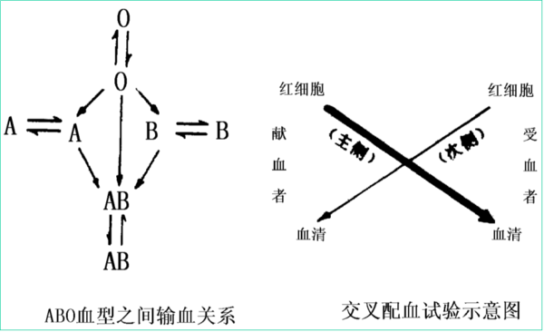 现在才知道
:熊猫血的好处和坏处