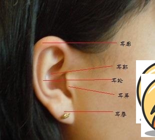 完整的解决方案
:女人耳朵痣相新图解大全(女人耳朵看相算命图解)-星座123
