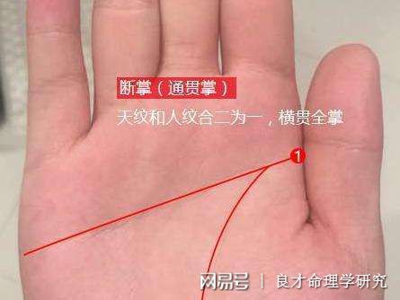 非常给力
:手相解读：断掌的女人真的会克夫吗？