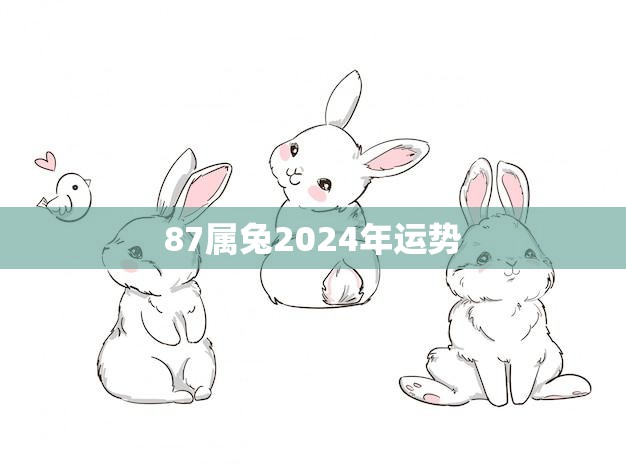 免费
:87属兔2024年运势(兔子运势大好财运亨通事业顺利)