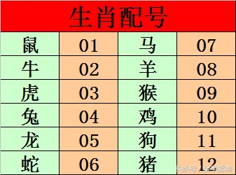 一个真相
:1995属猪五行属什么