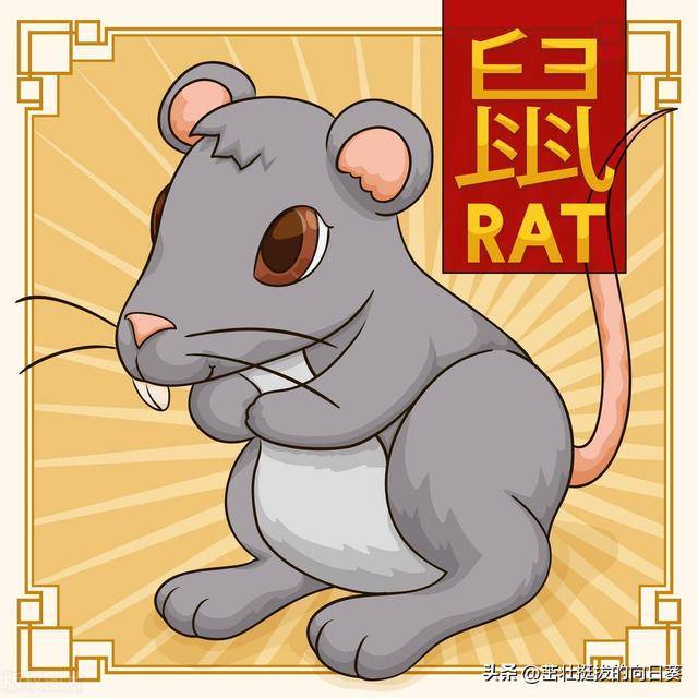 生肖鼠：揭秘12个属鼠人的性格特点与命运玄机！