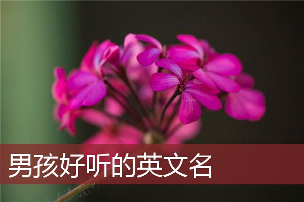 深刻透彻
:男生英文名字