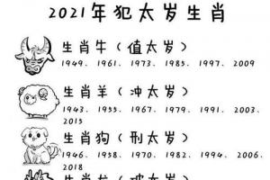 个人心得
:2024年犯太岁的生肖 2024年犯太岁的生肖龙佩戴什么好