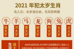 个人心得
:2024年犯太岁的生肖 2024年犯太岁的生肖龙佩戴什么好