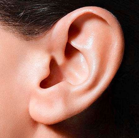 详细研究
:面相：什么样的耳朵有福气