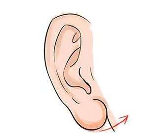 详细研究
:面相：什么样的耳朵有福气