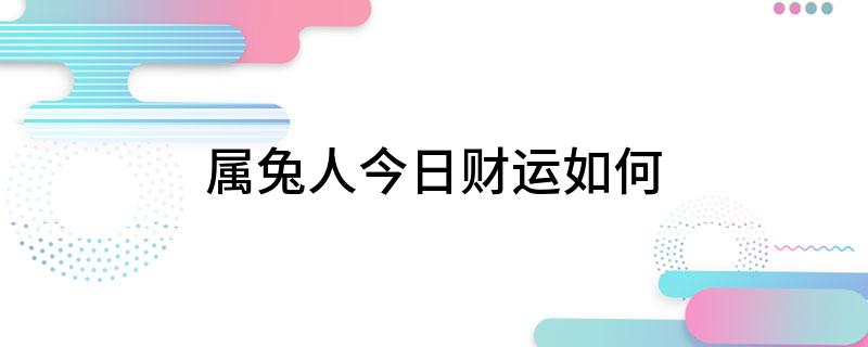 属兔人今日财运如何