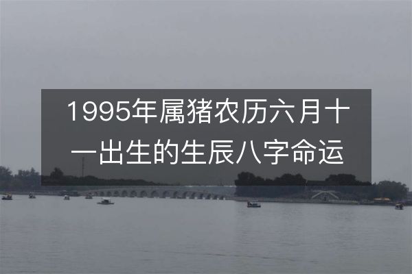 1995年属猪农历六月十一出生的生辰八字命运，感情、性格、事业财运