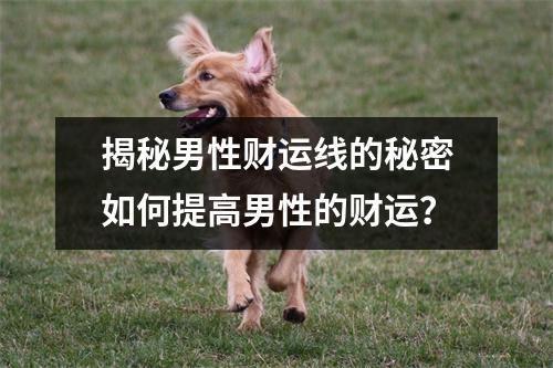 独门秘籍
:揭秘男性财运线的秘密如何提高男性的财运？