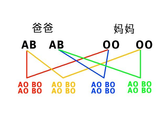 血型亚型 不得不看
:一张图，让你看懂父母与子女血型的关系