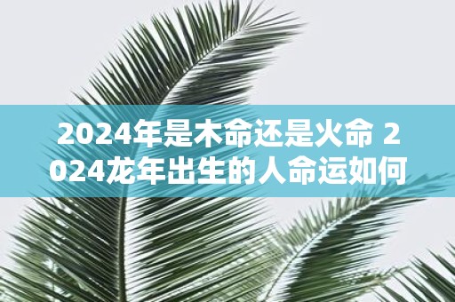 1992年5月21日出生的人是什么命,五行缺什么