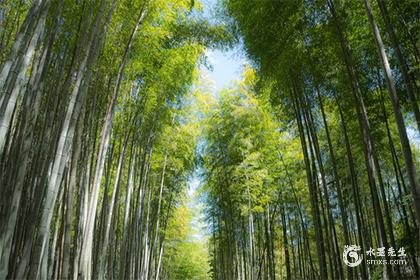 非常意外
:巨蟹座时间几月到几月份详解